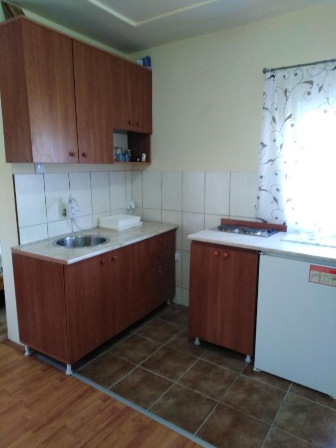 Apartman Sasa Banja Koviljača 외부 사진
